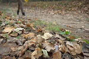 pawg milf struts in tight jeans showcasing ass fetish with visible panty line during teasing walk