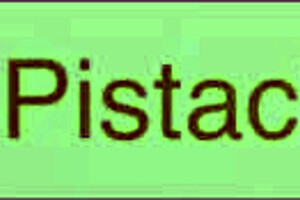 oh man i cant believe this horny arabic step mom is masturbating all hidden like that its her first time getting so wet and tight