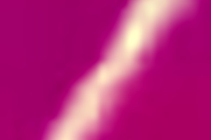 Amateur wife reveals pink pussy 310 days post-virginity in close-up lick