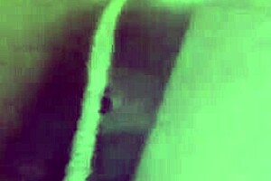 I love vacuuming so much... as an italian milf, i have this real passion for keeping everything clean and tidy