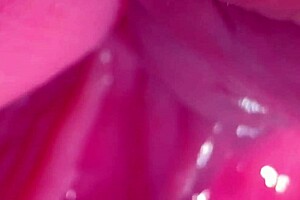 Why resist first sex with virgin on Halloween night, her wet shaved pussy craves creampie?