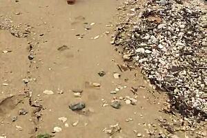 Bold asian wife flaunts big tits nude on beach