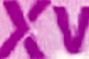 piss milk busty milf Louise Lee pov anal deepthroat squirt cum 😩🍆💦