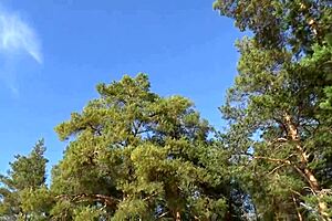 strutting in fishnet bodystocking 😍 sexy milf legs on display 🔥