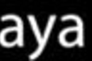 tropical nights tempt bodybuilder babe into panty seduction