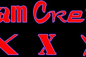 frottage turns into wild anal creampie with shemale slut