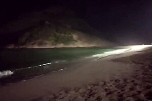 Big Tits Latina Beach Flash Pussy Lips Pee Brazilian Curvy Ass Exhibitionist