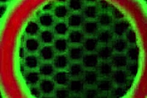 vicky vette slops big cock bj in lingerie outfit gets facial cum