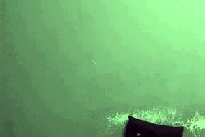 hunk's thick monster cock pounds ssbbw milf wife with blowjob and cum on tits