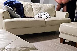 tattooed florida pawgs take bbc creampies in wild adventures trailer