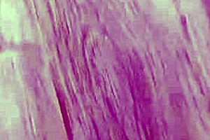 Arab Stepmom Takes Rough Creampie From Horny Stepson Webcam