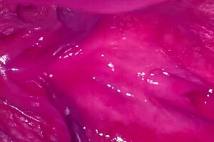 Amateur Wife's Shaved Pink Pussy Closeup 269 Days Post-Virginity Loss