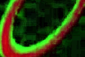 Lesbian Milfs Sara Jay And Sheridan Love Bubble Bath Pussy Lick