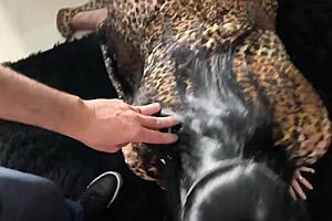 hubby gifts brazilian wifey huge bbc monster cock first time 🔥🍆💦