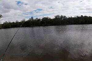 Busty Diamond Fucked Hard After Fishing In Public!