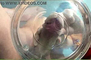 gilf slowmo cumshot water friend muscular femdom tanned bodybuilder