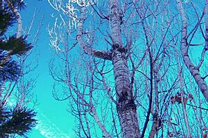 Brunette milf Eve Lawrence rides monster cock outdoors on snowy bed romp