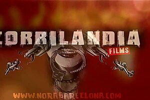 primavera porn turns holiday party hardcore explicit