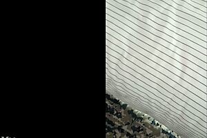 milf cougar hosts young guys for group interracial creampie party 😏🔥👨‍👩‍👦