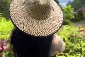 busty danae marie lacey jane outdoor date blowjob tease