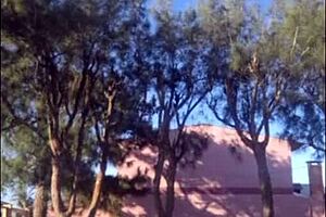 madrasta, showing off that bikini body in the garden for you?