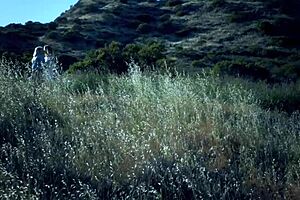 I crave blonde lesbos outdoors
