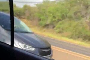 busty danae marie lacey jane outdoor date blowjob tease