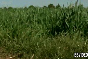 German milf enjoys solo play in outdoor setting 🚗🌳