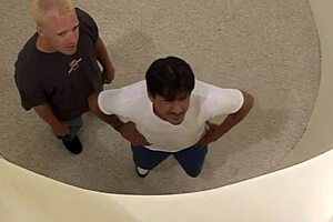 Darryl Hanah milf slurps BBC in outdoor double penetration