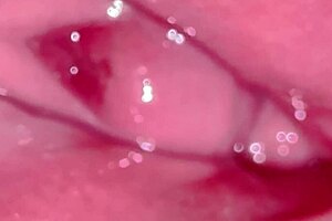 amateur japanese wife flaunts her pink pussy 361 days post virginity loss