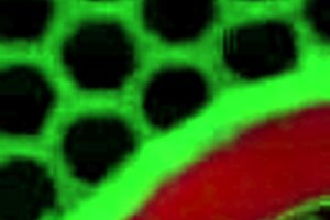 double bbc blowjob cougar milf fucked doggystyle by don prince