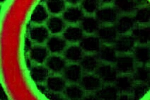 MAXINE X TOYS WET PUSSY UNTIL SEAN MICHAELS BLASTS CUM ON HER HUGE TITS!