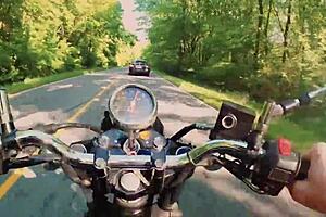 mommy's wet anal creampie in forest 😩 muscular ass bent over on puffy lips night 🌙