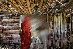 mommy's wet anal creampie in forest 😩 muscular ass bent over on puffy lips night 🌙