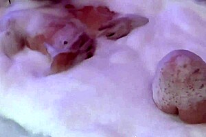 i wore bikini for anal jacuzzi fuck motel cuckold tears my husband