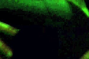 MILFYCALLA PEES in WORKOUT CLOTHES cameltoe try-on