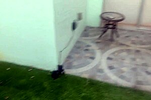 Pervy stepfamily heads out for a taboo public picnic. Mommy's big ass bent over waiting!