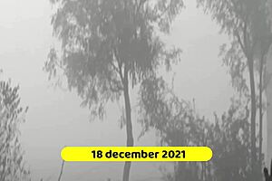 mommy's wet anal creampie in forest 😩 muscular ass bent over on puffy lips night 🌙