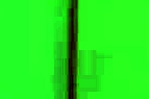 thief wrecking stepmom's hairy pussy cowgirl style?