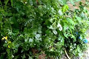 uhh village stepmom caught by stepson fuckin farmhouse help xxx