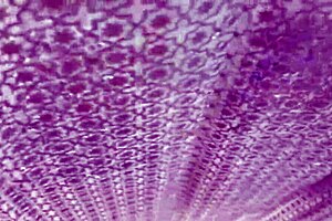 stepmom walks in on my naked jerkoff ignores but stares wants handjob my fat cock