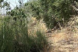 Cheating milf sneaks stranger cock for public beach creampie in nudist camp