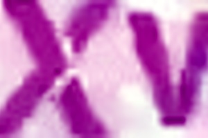 Shoving my huge fist deep into Cindy Loren's hot gaping Colombian ass!