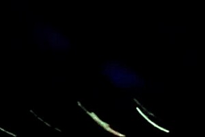 escondidos no busão bati punheta pra firegreen2 com tetas enormes latina 🔥🍆🚌