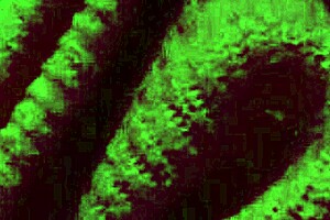 italian big tits milf artemisia love bounces natural boobs solo at night