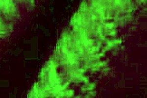 italian big tits milf artemisia love bounces natural boobs solo at night