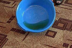 curvy milf teases hairy pussy with piss and fingering fetish