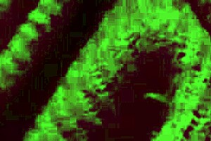 italian big tits milf artemisia love bounces natural boobs solo at night