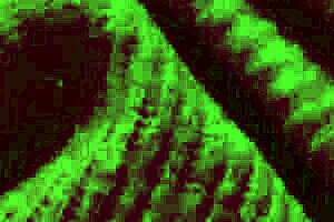 italian big tits milf artemisia love bounces natural boobs solo at night