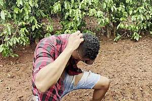 Lobo Mau Devours Chapeuzinho Vermelho Lost in Forest Complete Red Riding Hood Fuck